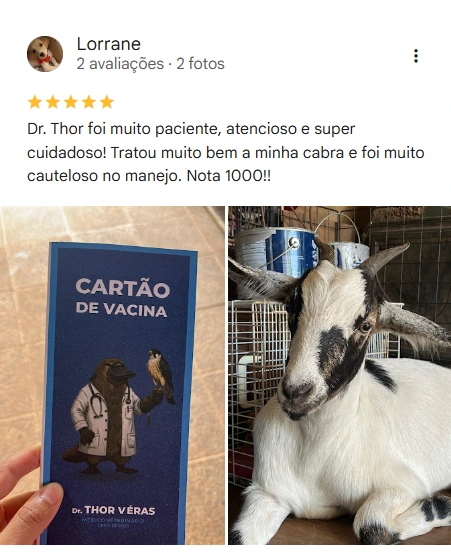 Avaliação 5 estrelas