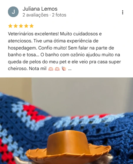 Avaliação 5 estrelas
